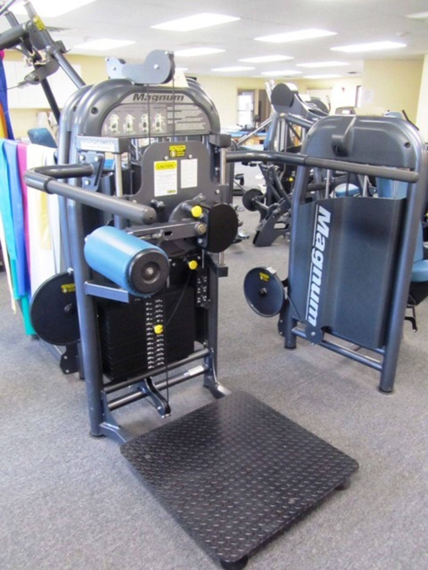 Magnum Series E Inner / Outer Thigh / Hip / Flexion Extension Machine, sn:91437*located Orland Park,