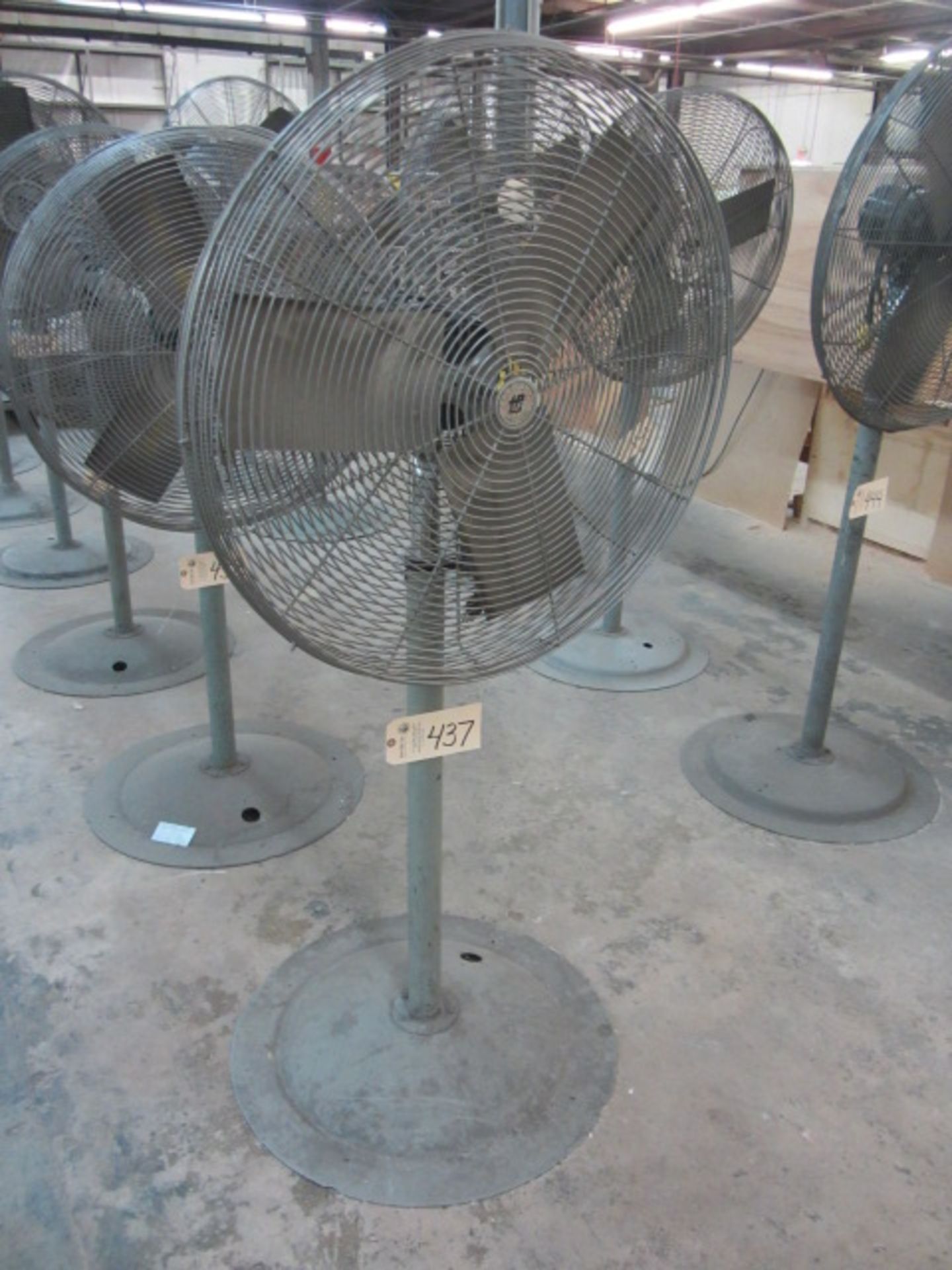 Shop Fan