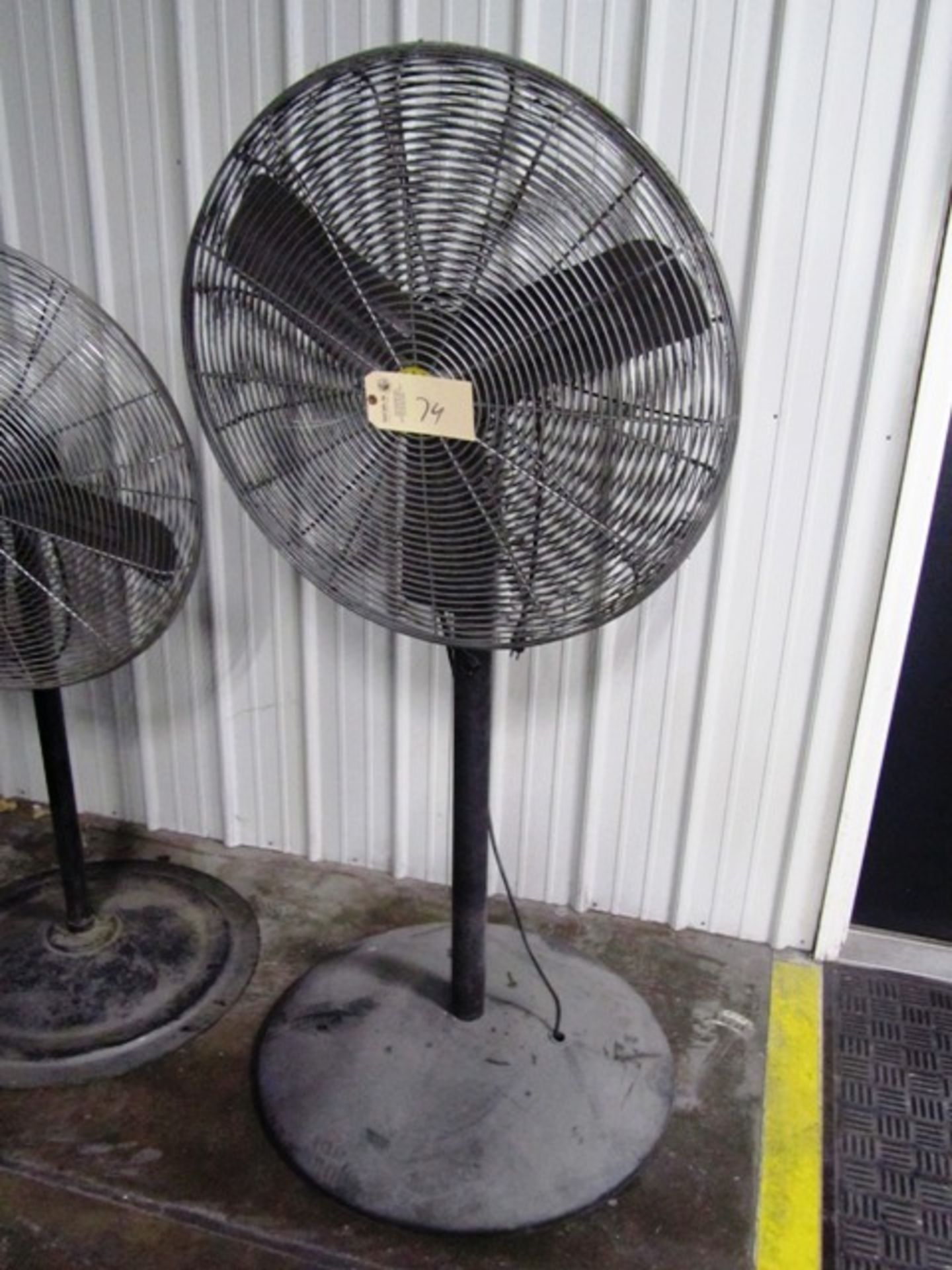 Pedestal Fan