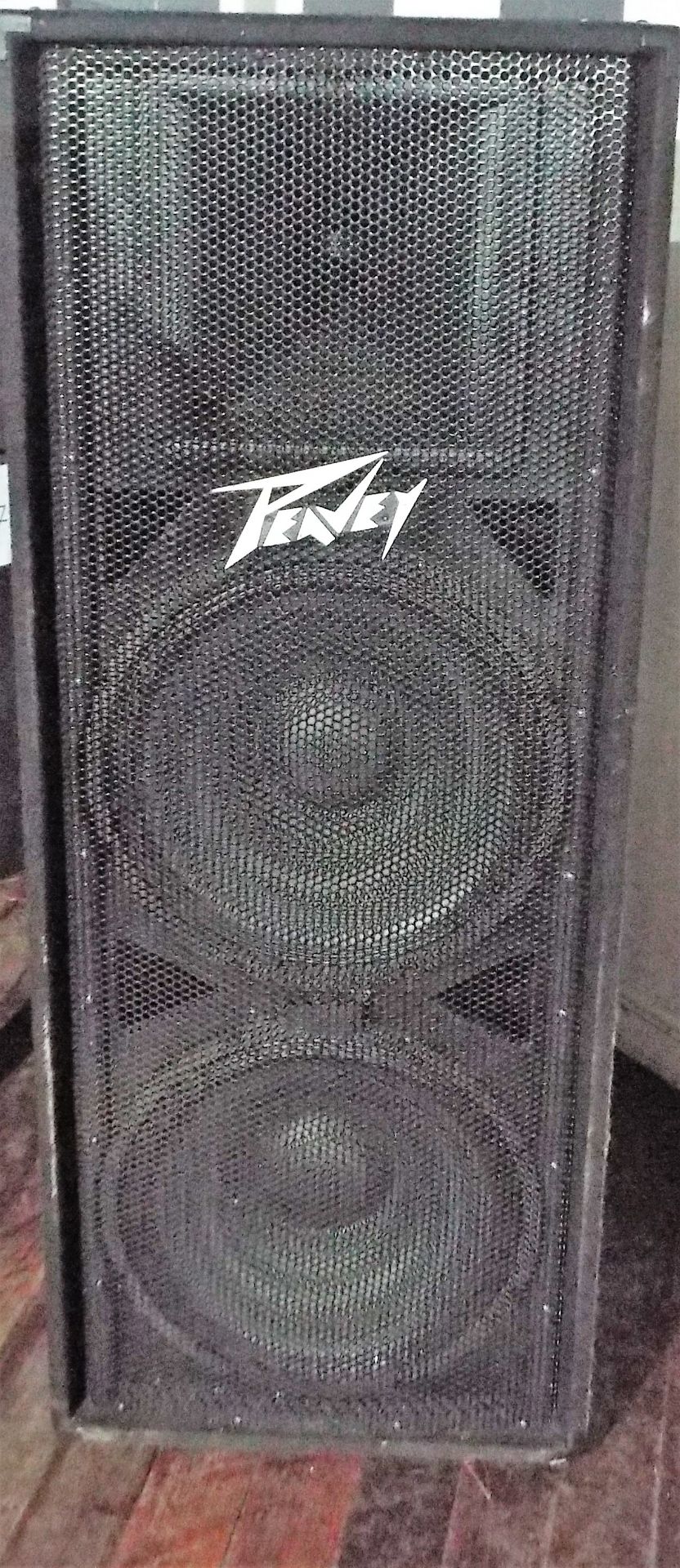 Peavey Speaker