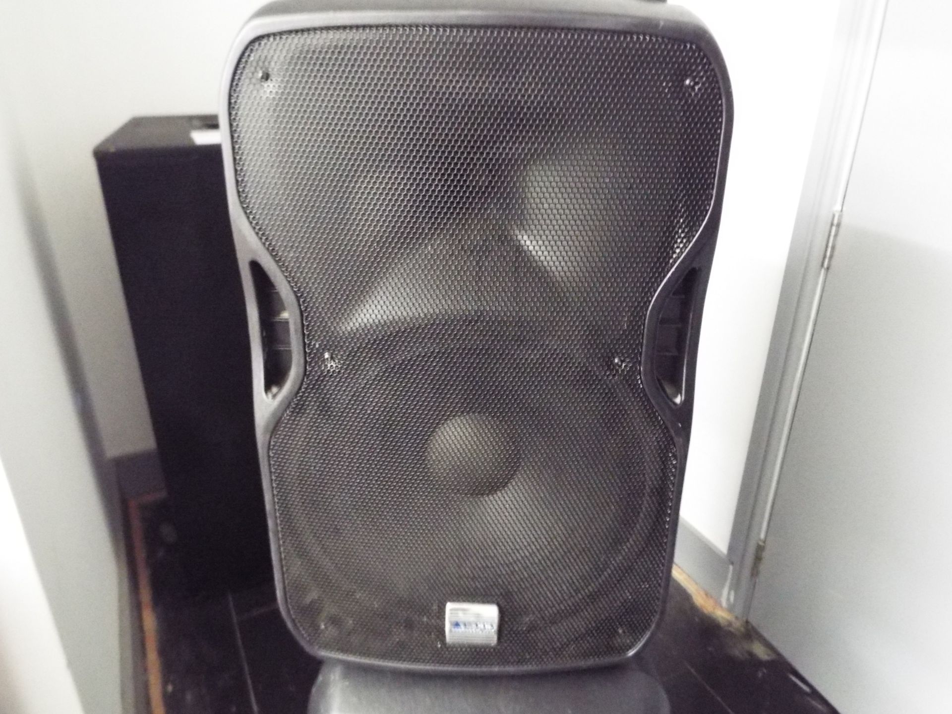 Alto Professional Speaker