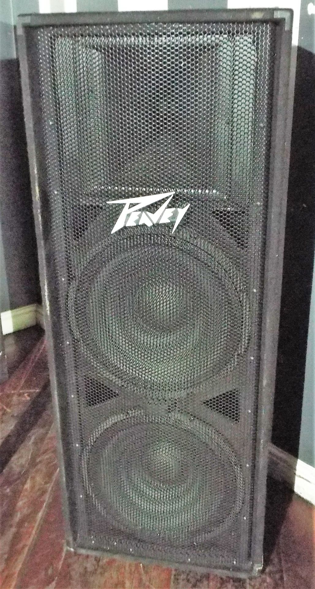 Peavey Speaker