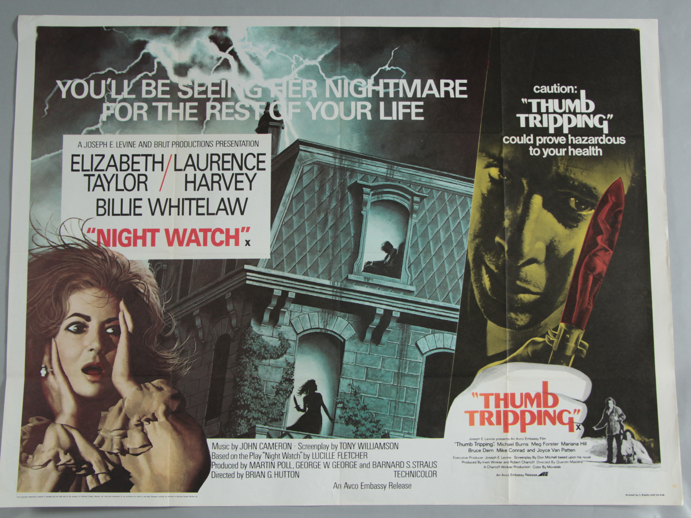 15 Horror genre British Quad film posters including Nosferatu st Klaus Kinski, - Bild 5 aus 15