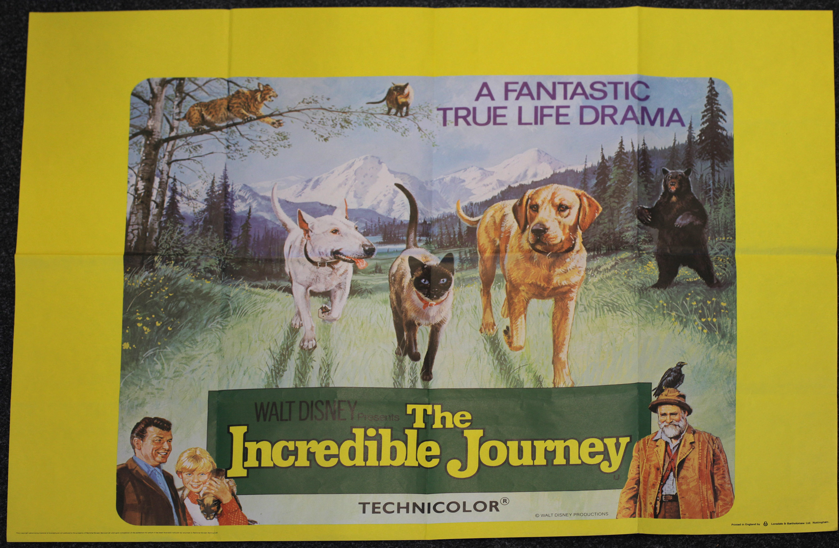 Two British QUAD film posters: "The Incredible Journey" (30 x 40") and "Oliver" (30 x 40"); - Image 2 of 3