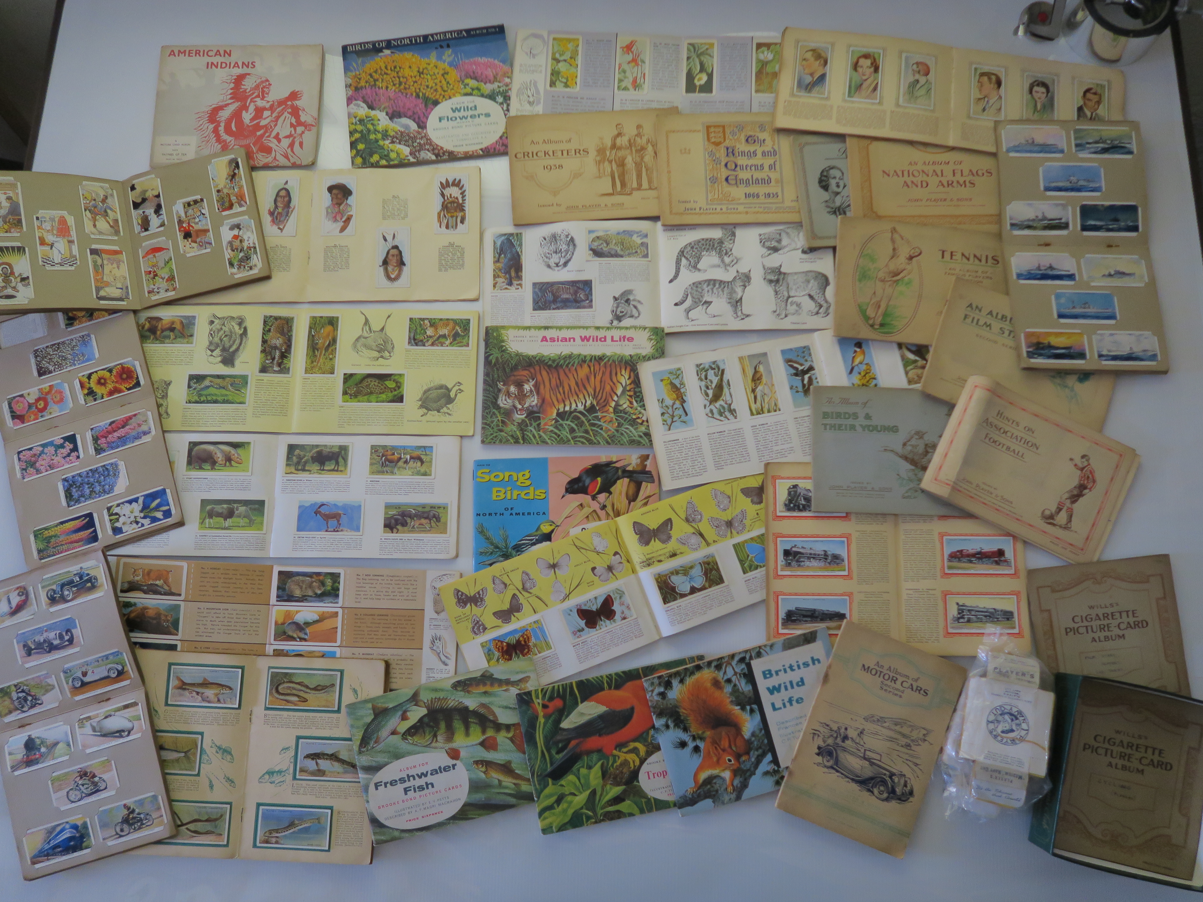 A collection of cigarette cards inc Paynes American Indians, African wildlife, Songbirds,