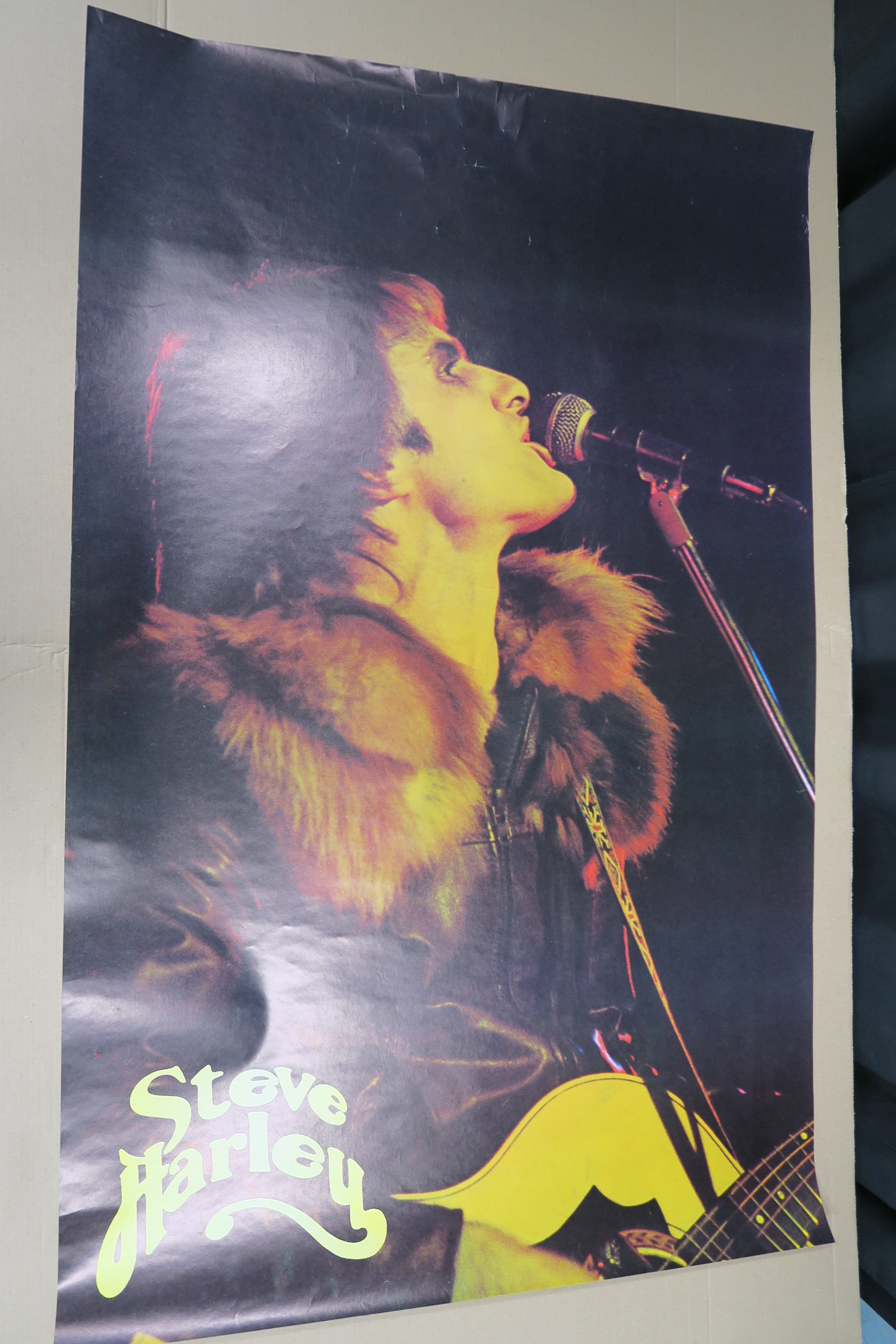 Concert posters including Steve Harley (rolled), Gong (rolled), The Groundhogs (rolled), Ryan Adams.