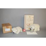 Two Steiff teddy bears: 036989 Ours Teddy Flocke Polar Bear, ltd.ed.