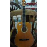 A Hudson HC1-39 acoustic guitar