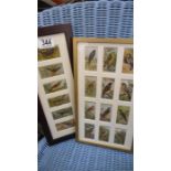 2 framed cigarette card pictures