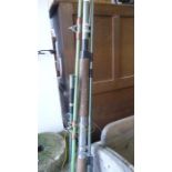 Various fishing rods, reels etc.