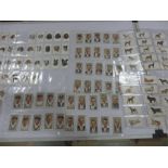 A quantity of Players cigarette cards including Cricketers, dogs etc