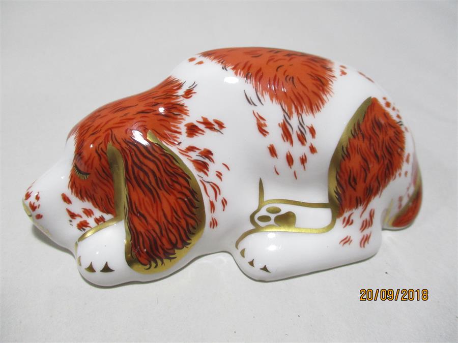 Royal Crown Derby Paperweights with gold stoppers - An exclusive Collectors Guild signed Scruff - Image 2 of 8