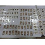 A quantity of Players cigarette cards including Cricketers, dogs etc