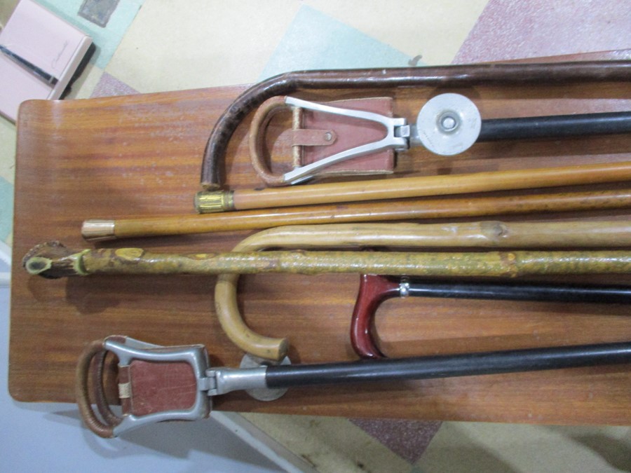 A collection of walking sticks