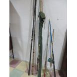 A collection of various fishing rods