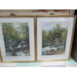 A pair of watercolours of woodland scenes- indistinct signature