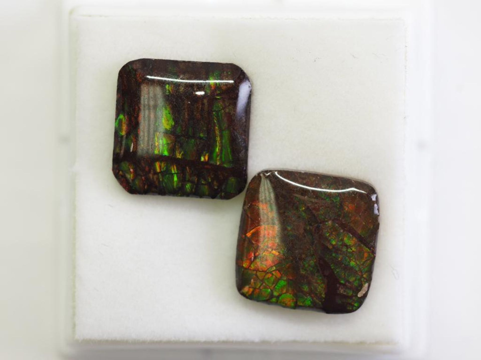 Genuine Canadian Ammolite Gemstones Matching Pairs. Retail $200