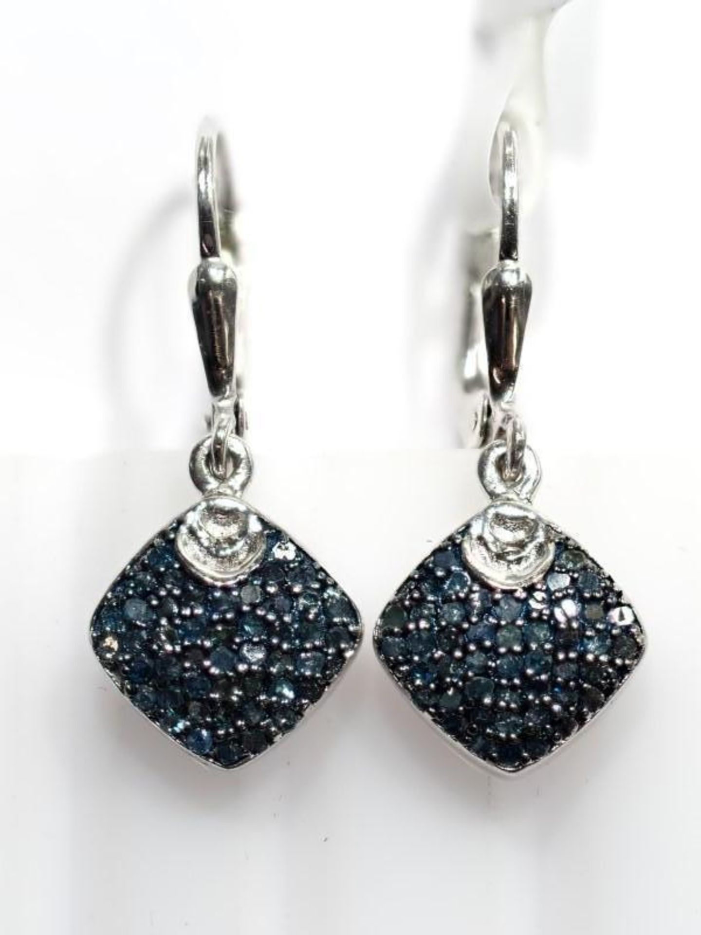 Sterling Silver Blue Diamond (0.80ct) Earrings. Insurance Value $1040