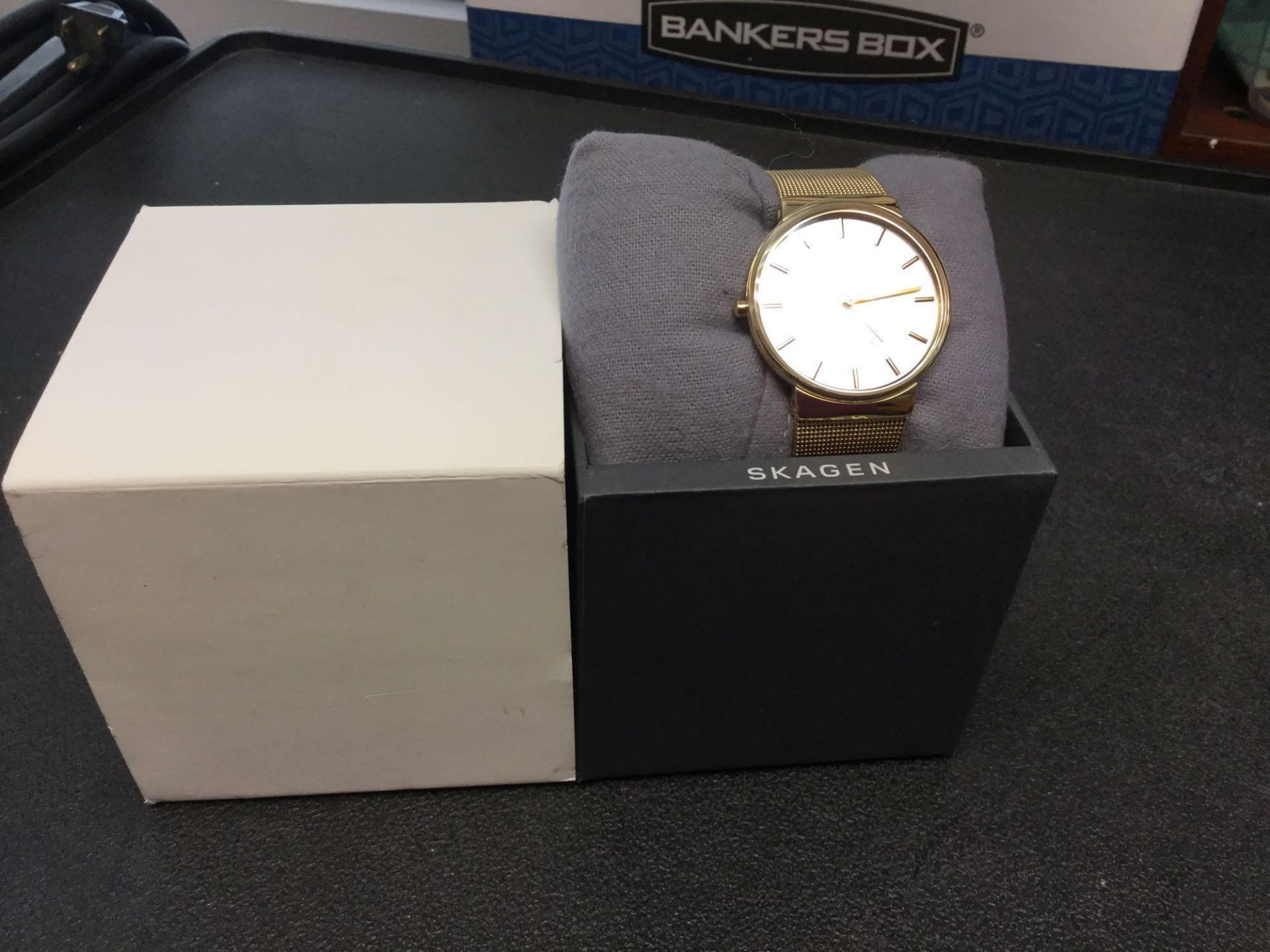 Skagen Goldtone Watch with Case