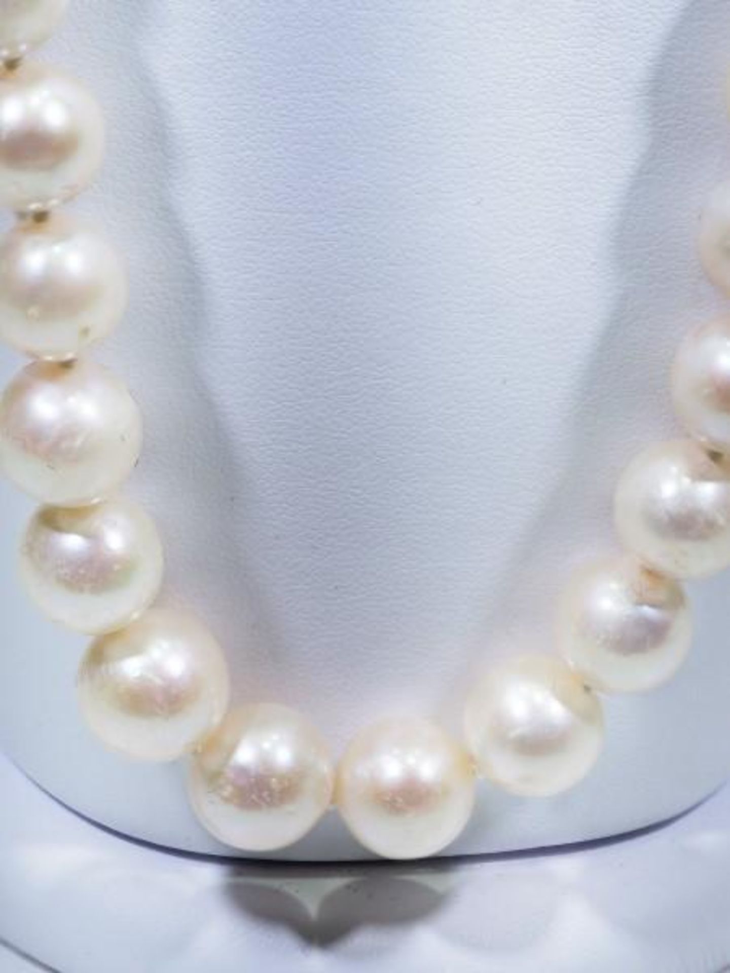 Good Quality Genuine Fresh Water Pearl (10 - 13 mm) Necklace with S.Silver Clasp. Retail $600 (MS07
