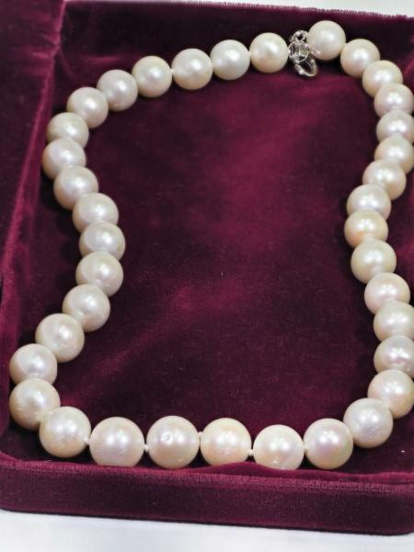 Good Quality Genuine Fresh Water Pearl (10 - 13 mm) Necklace with S.Silver Clasp. Retail $600 (MS07 - Image 2 of 2
