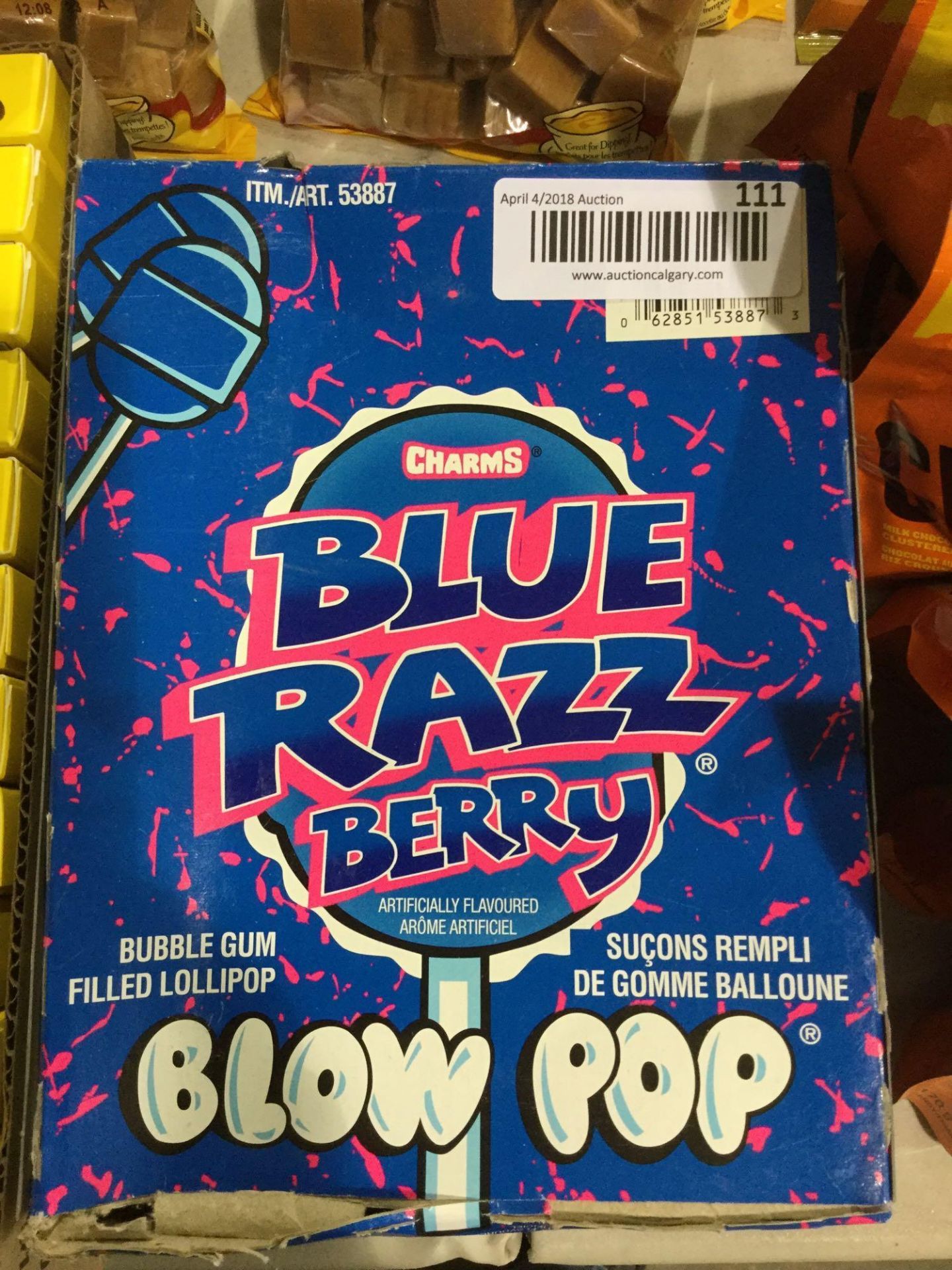 Case of 48 x 18.4 g Blue Razz Berry - Bubblegum Filled Lolly Pop