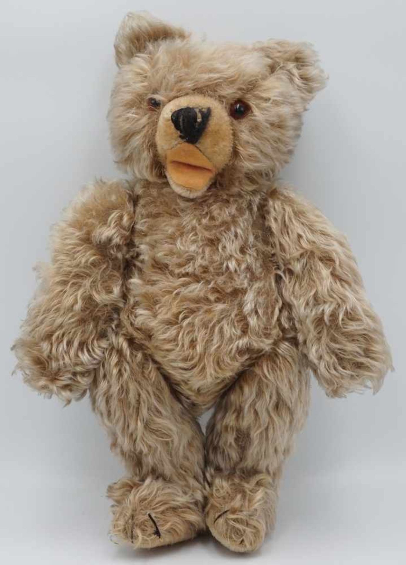 Zwei Zotty Teddybären von Steiff und Teddy Hermann1) Steiff Zotty, um 1950, Mohair, Holzwolle, - Bild 4 aus 5