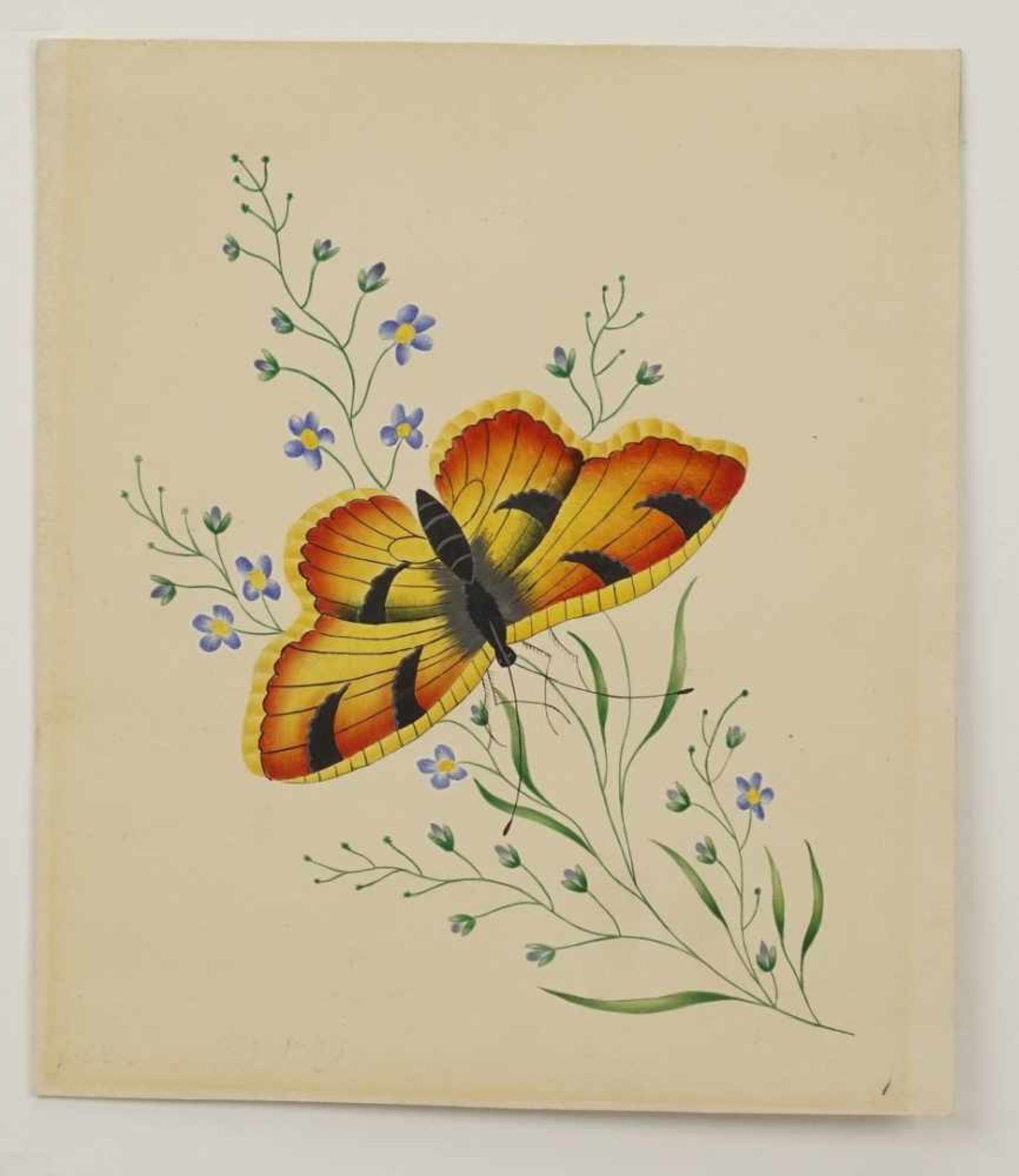 Unbekannter Maler, "Schmetterling"Aquarell/Malpappe, 1. Hälfte 19. Jh., guter Zustand, 15 x 13 cm ( - Bild 3 aus 3