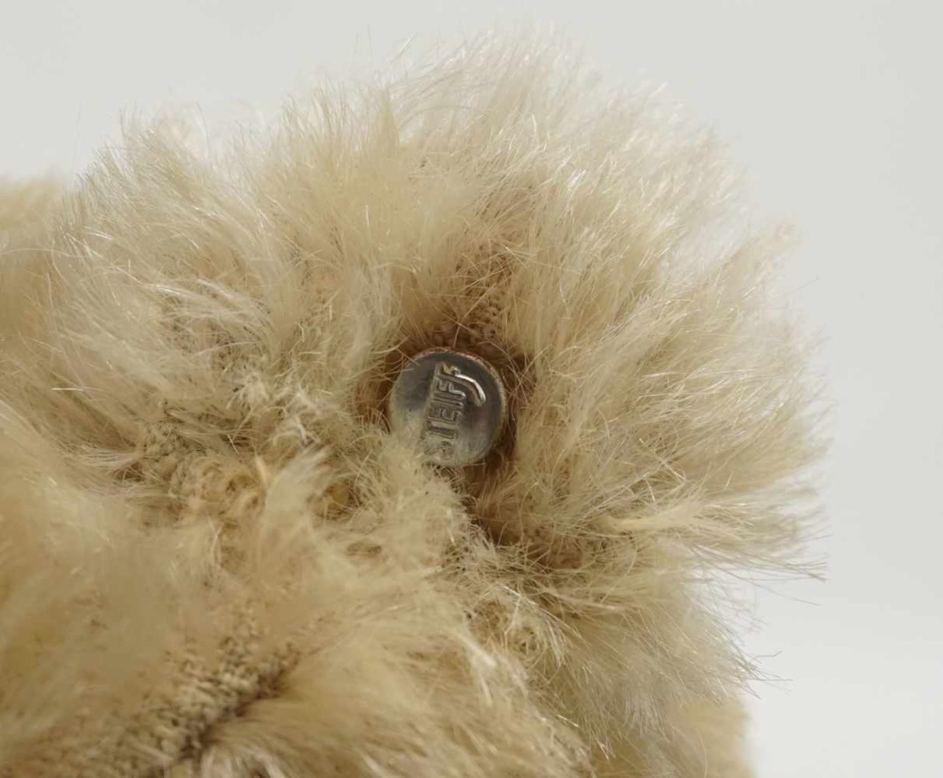 Steiff Teddybär, VorkriegszeitHolzwolle, Mohair, gesticktes Gesicht, braune Glasaugen, Buckel, lange - Image 5 of 5