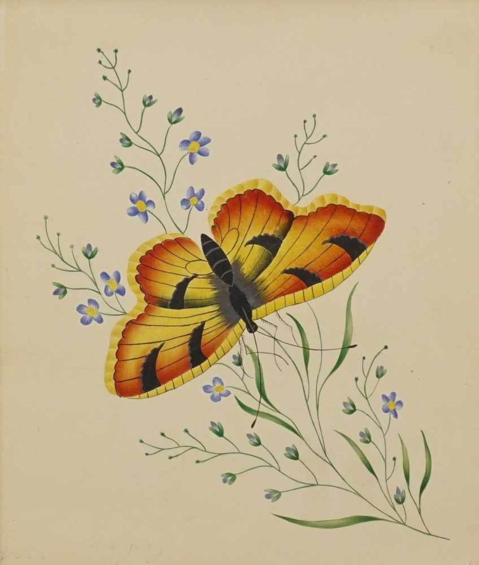 Unbekannter Maler, "Schmetterling"Aquarell/Malpappe, 1. Hälfte 19. Jh., guter Zustand, 15 x 13 cm (