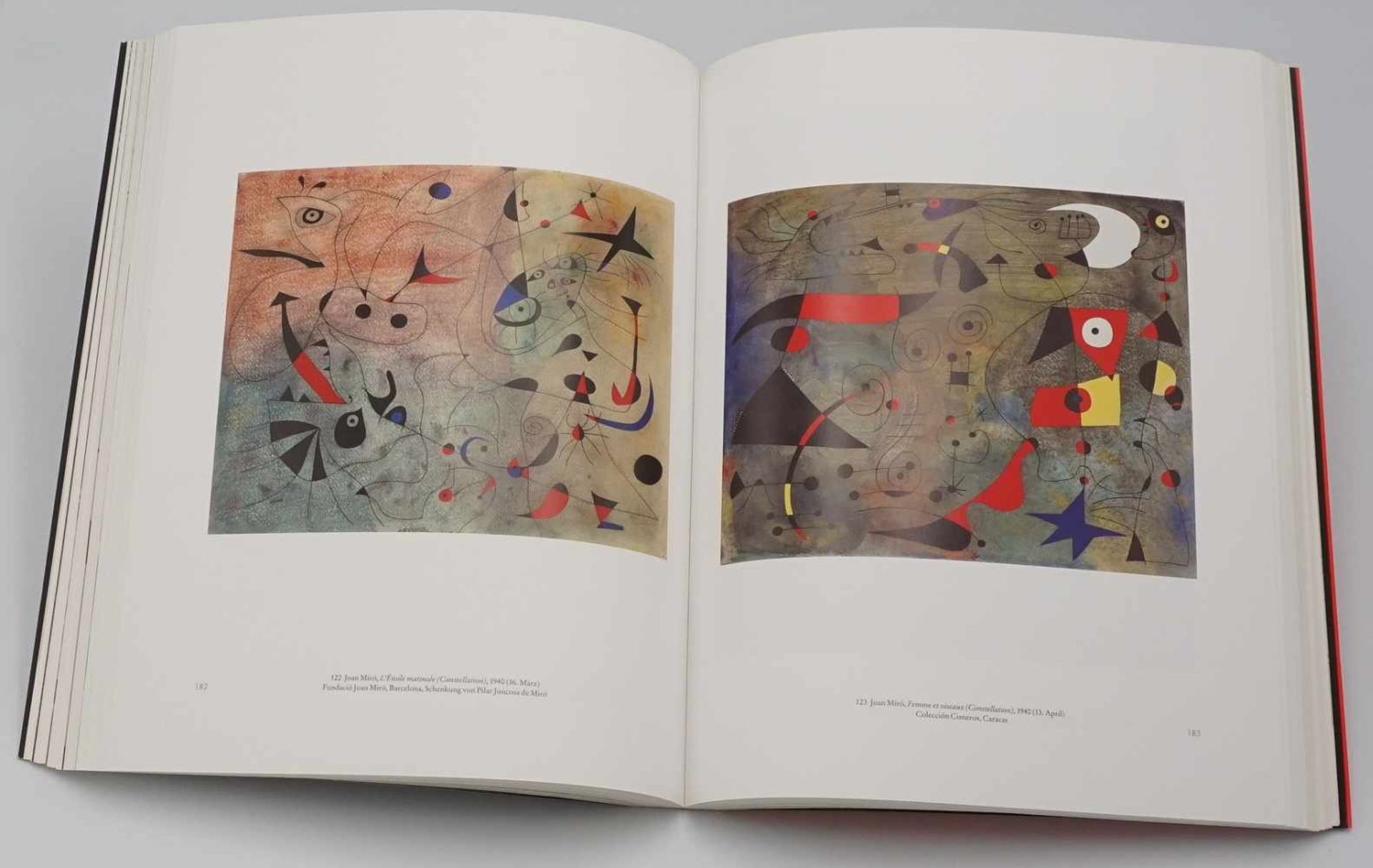 Drei Bücher über Joan Miró1) Jacques Dupin "Miró Radierungen 1973-1975", Band III, 1991, blauer - Image 7 of 7