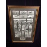 Framed cigarette cards