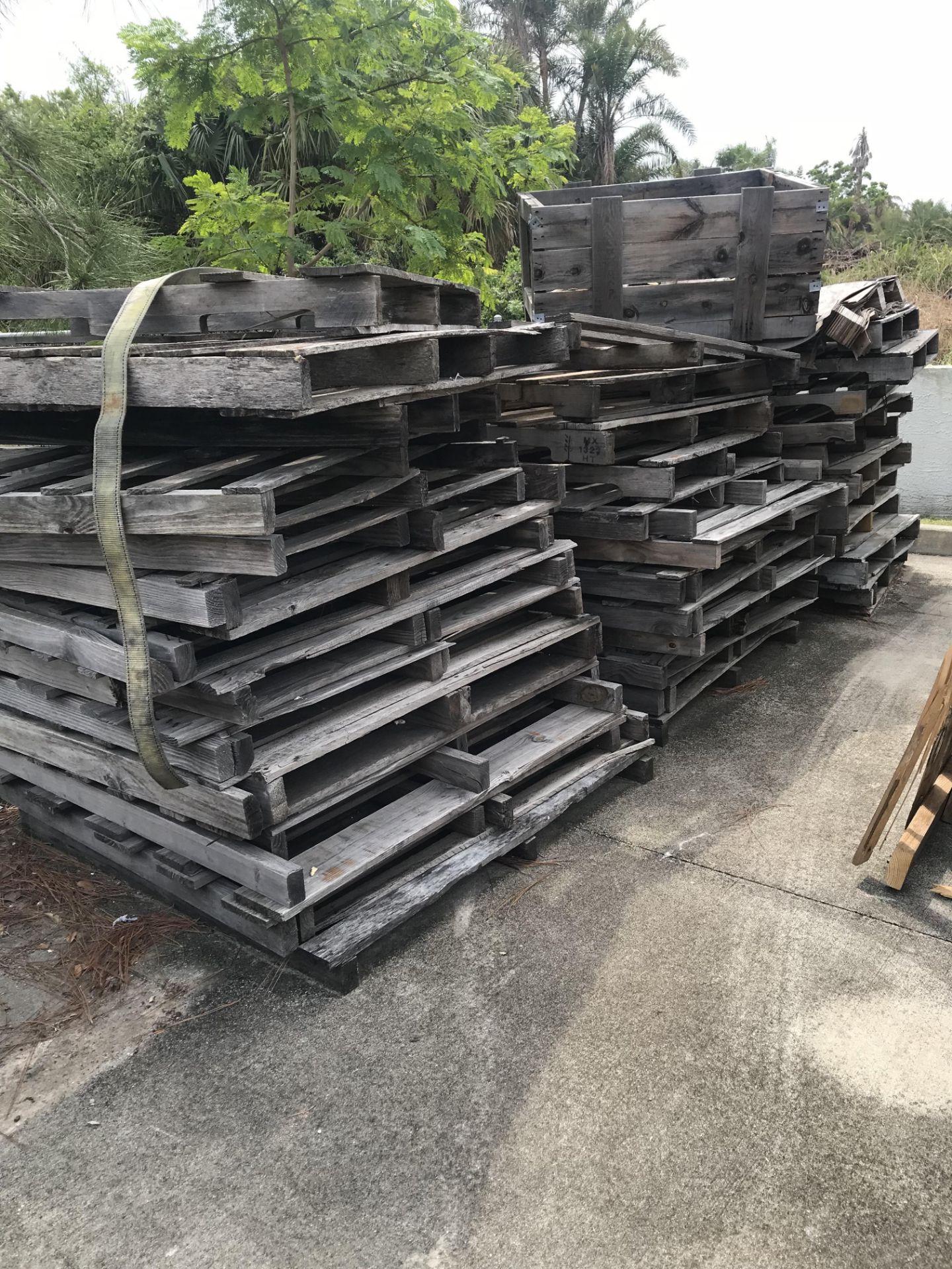 ALL PALLETS - Image 2 of 5