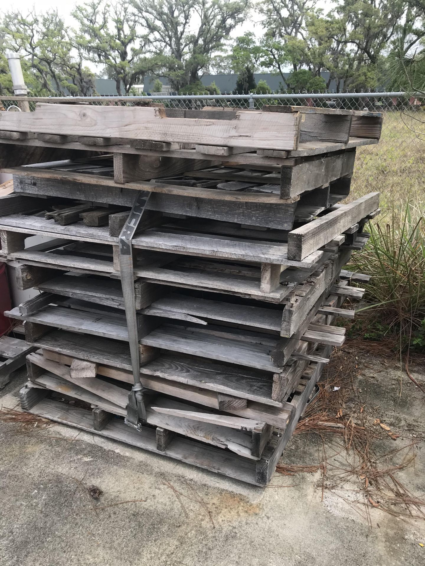 ALL PALLETS - Image 3 of 5