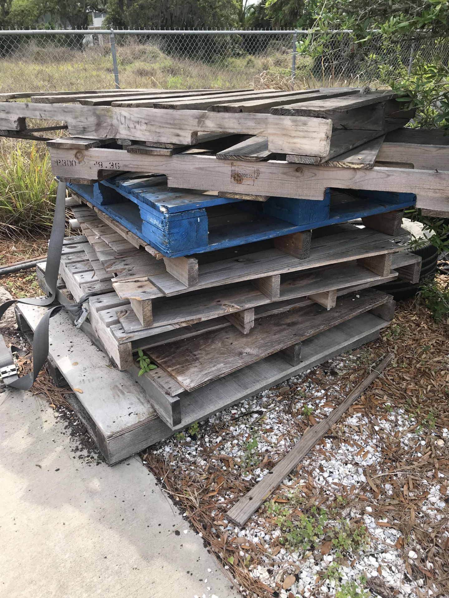 ALL PALLETS - Image 5 of 5