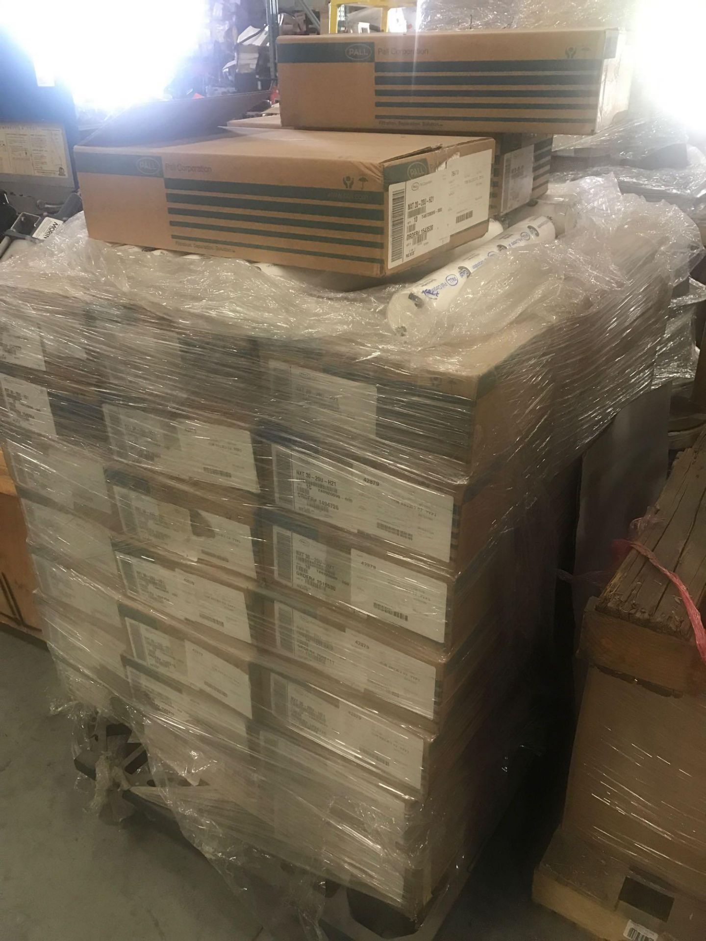 PALLET OF PALL CORPORATION WATER FILTERS - Image 2 of 3