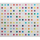 Hirst D., no title, industrial silkscreen, no. 95/300, part of the Pharmaceutical Series, ex. Van