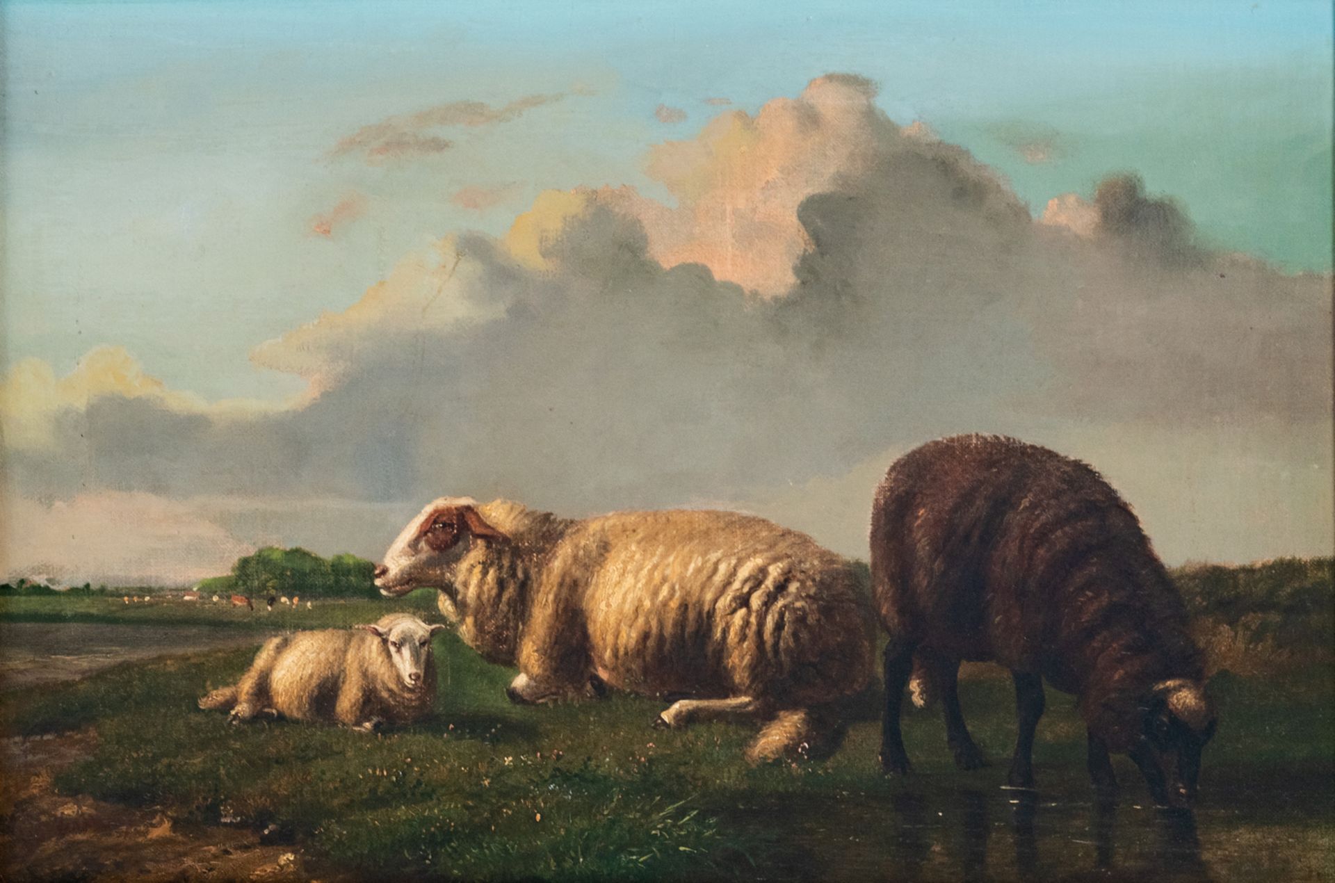 Verwee L.P., sheep in a meadow, oil on canvas, 37 x 54 cm