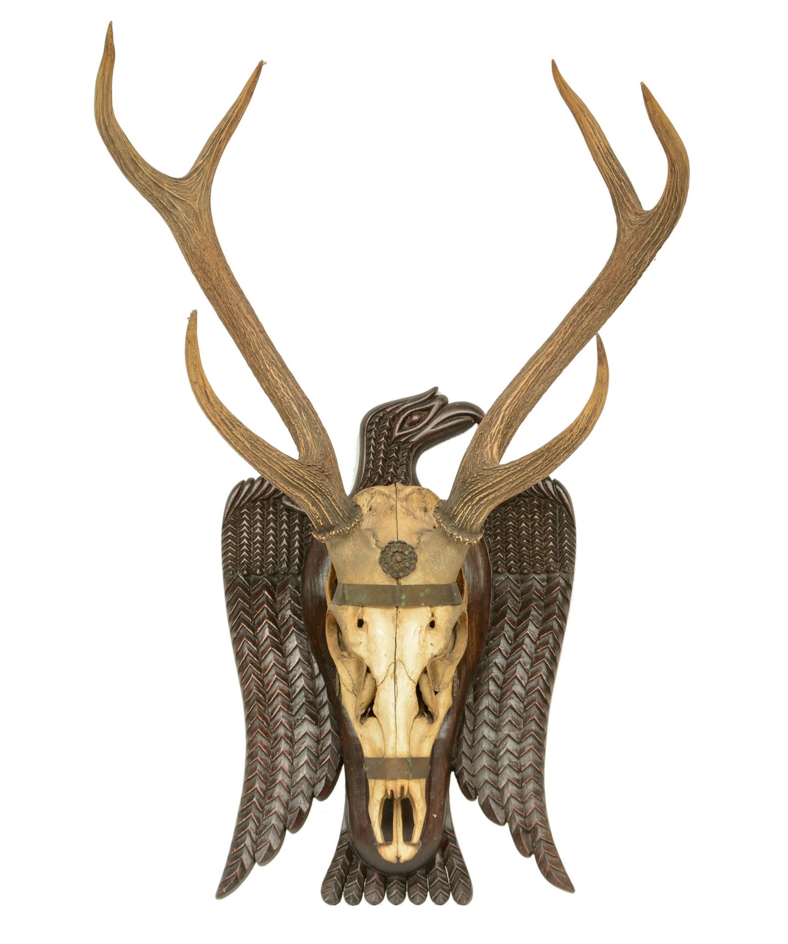 A hunting trophy with an eagle shaped frame, H 83,5 - W 58 cm