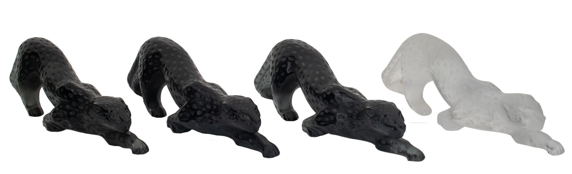 One white and three black panthers, marked Lalique - France, H 10,5 - W 38 cm