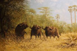 Michael GHAUI (1950), grasende Büffel in der Savanne. Öl auf Leinwand, signiert und datiert unten