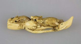 NETSUKE ZWEI RATTEN AUF EINEM AST, Bein, 20.Jh. Fein geschnitzt mit Gravur, diese dunkel eingefärbt,