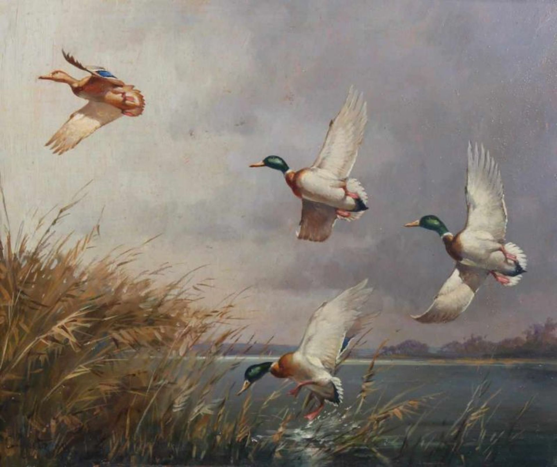 Jutz, Carl d.Ä. (1838 Windschläg - 1916 Pfaffendorf), wohl, "Auffliegende Enten", Öl auf Kupfer,