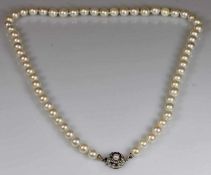 Perlenkette, 61 Akoya-Zuchtperlen ø ca. 7 mm, Schließe WG 585, 1 Perle, ca. 47 cm lang 25.00 %