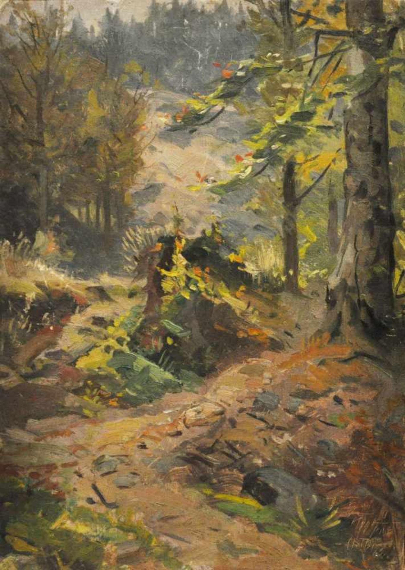 Wolters, Georg (1861 Braunschweig -1943)"Waldlandschaft", Öl auf Lw/Karton, 47,5 x 33,5 cm, rechts