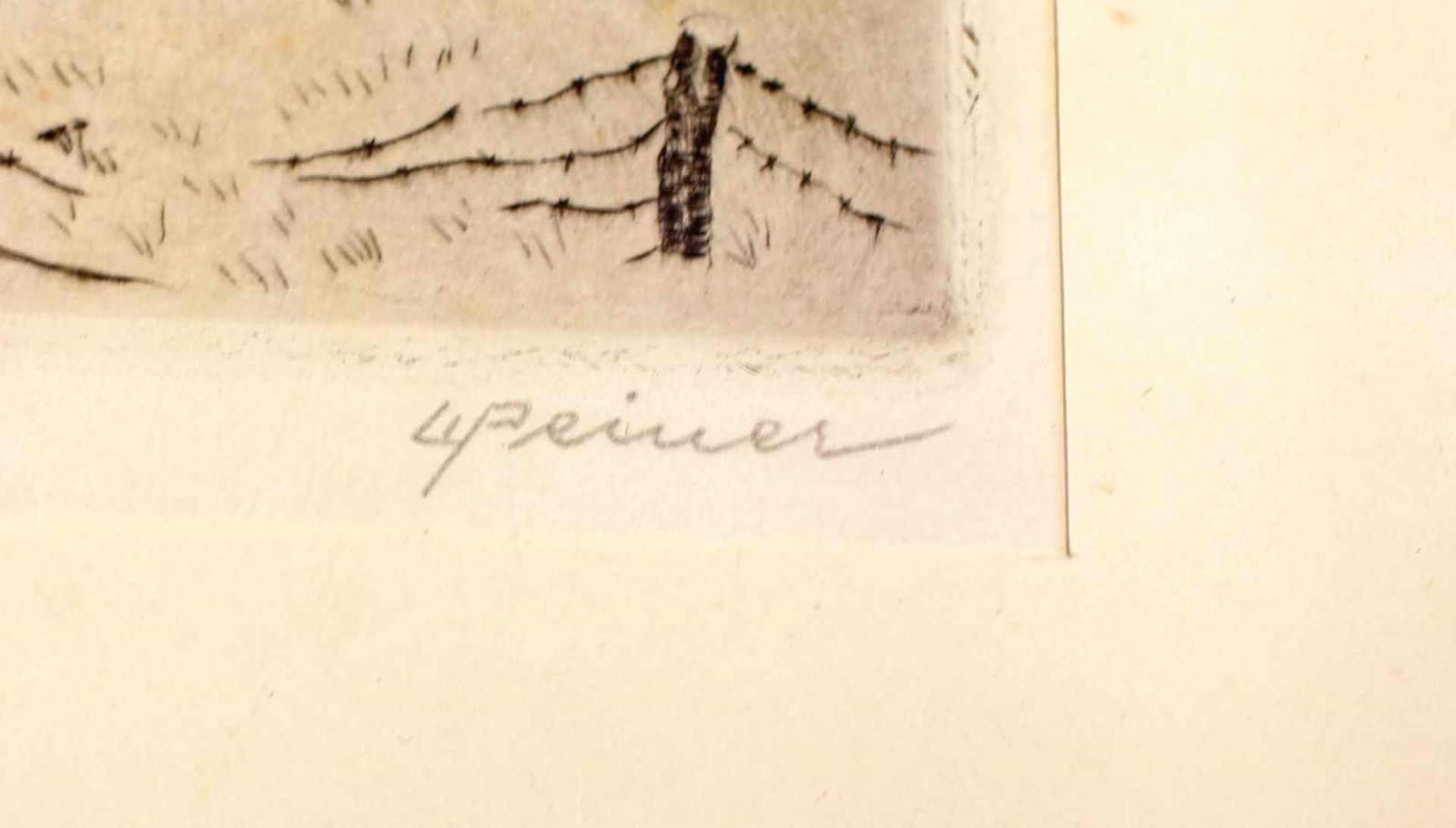 Peiner, Winterliche LandschaftOriig.-Radierung, in der Platte li. u. monogramm. "WP", re. u. - Bild 2 aus 2