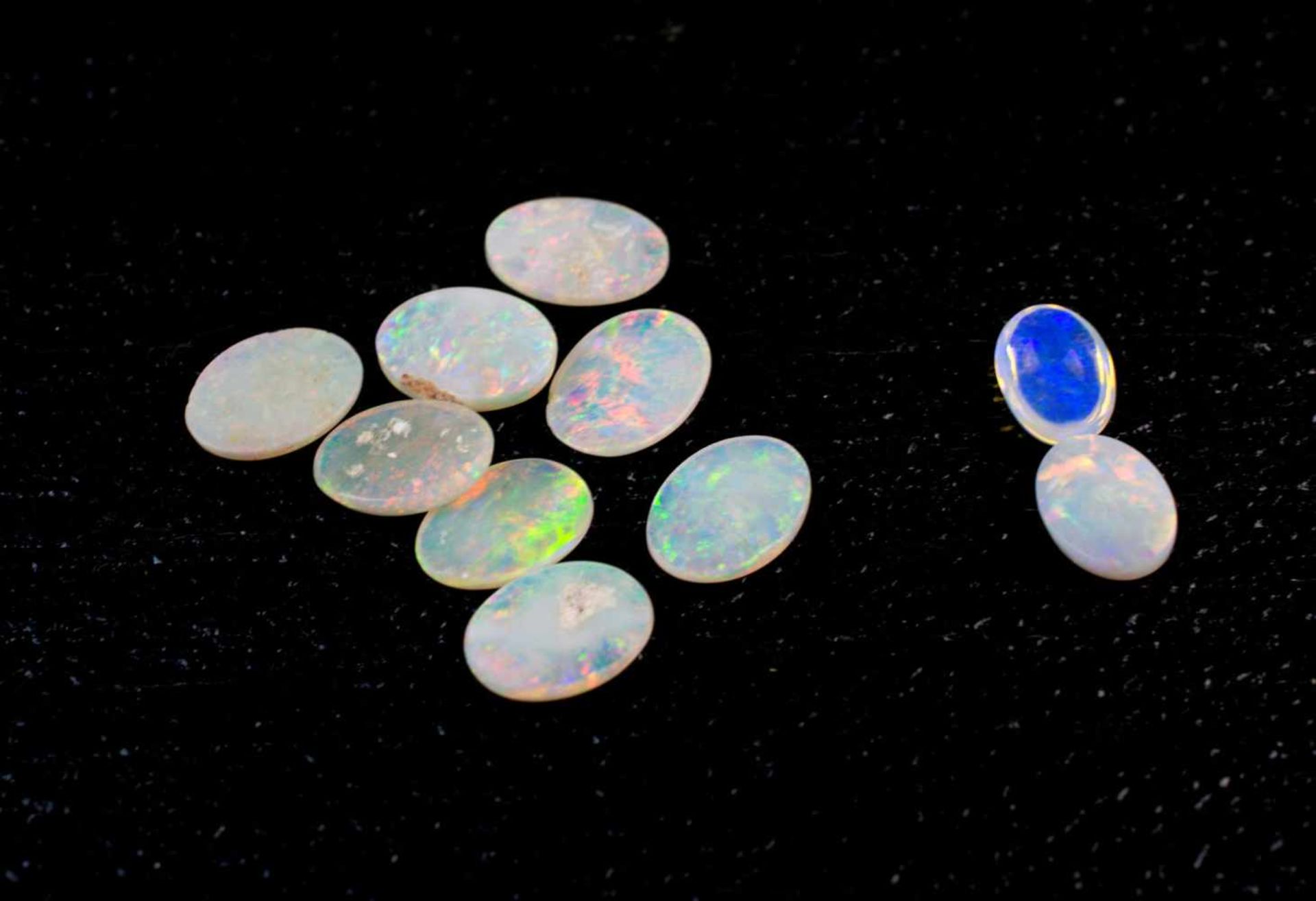 Konvolut Opale in rundem, Cabochon- und Navetteschliff Vollopal, Farbe milky, 57-tlg., Australien,