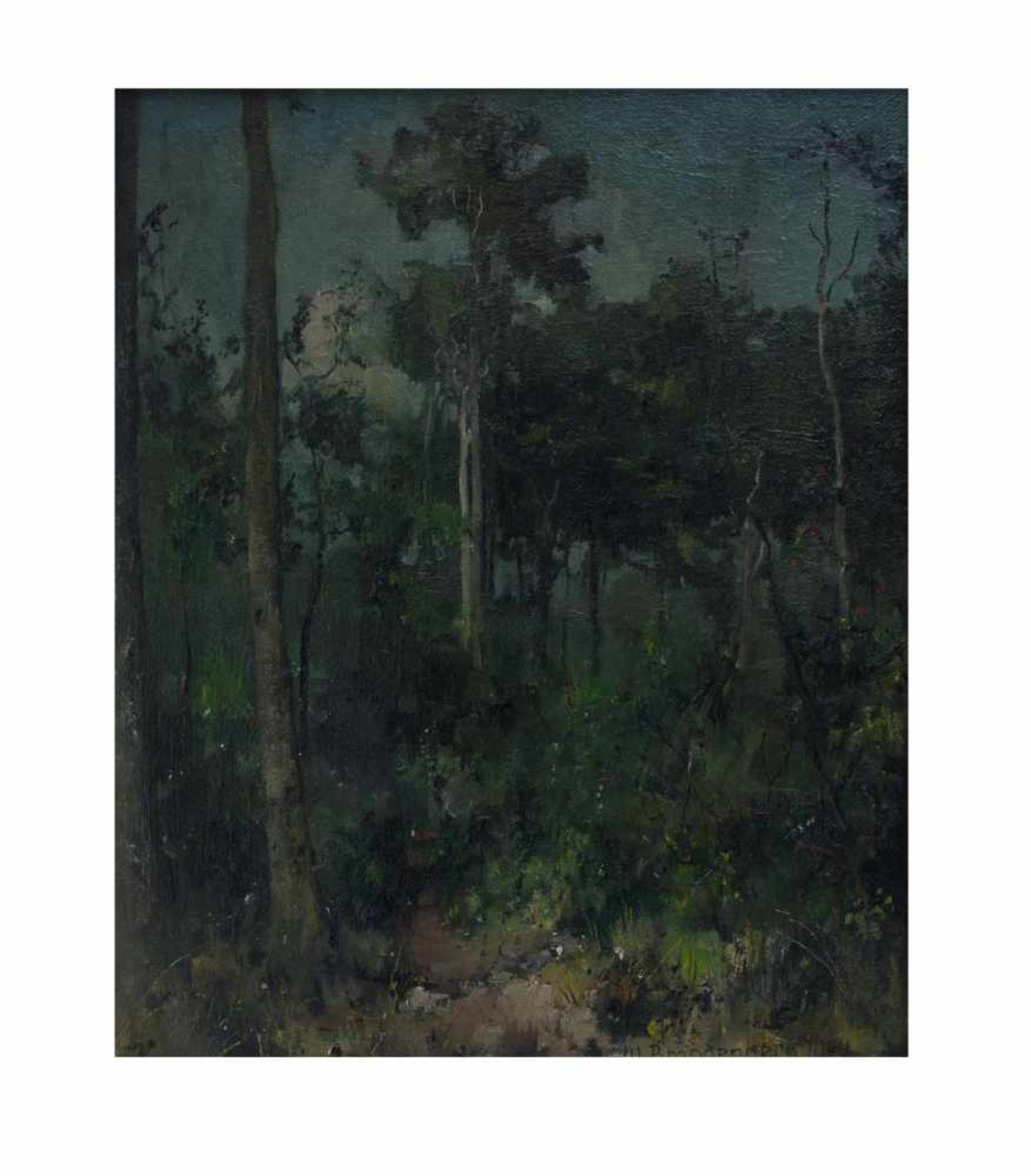Wilhelm Brandenberg (1889 Essen - 1975 Krefeld) Waldlandschaft, Öl auf Leinwand, 47 cm x 38,5 cm,