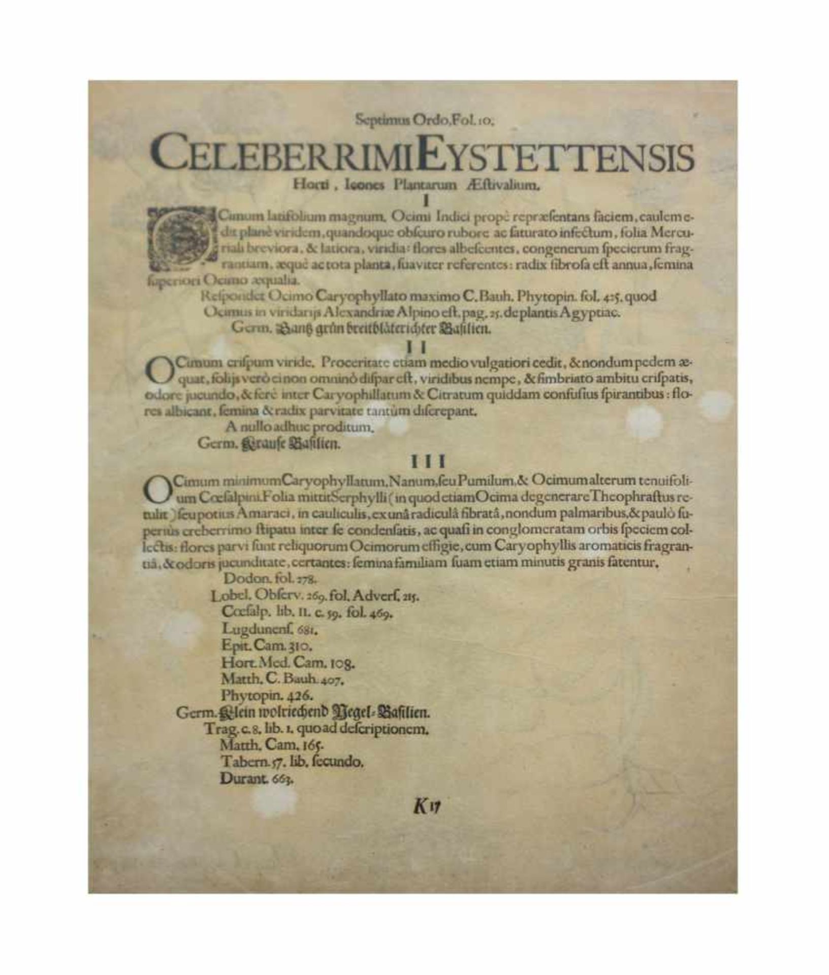 Basilius Besler (1561 Nürnberg - 1629 ebenda) Paar Kupferstiche, 'Celeberrimi Eystettensis', Quintus - Image 2 of 4