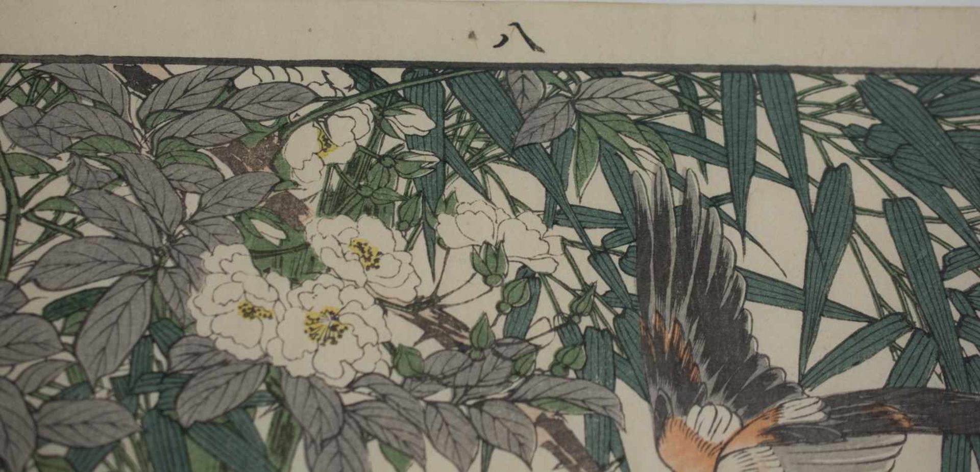 Imao Keinen (1845 Kyoto - 1924 ebenda) Paar Grafiken mit Vogeldarstellungen, Farblithografie auf - Bild 4 aus 5